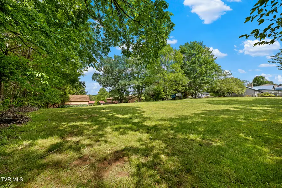 346 West Hills Drive, Mosheim, TN 37818 - #2