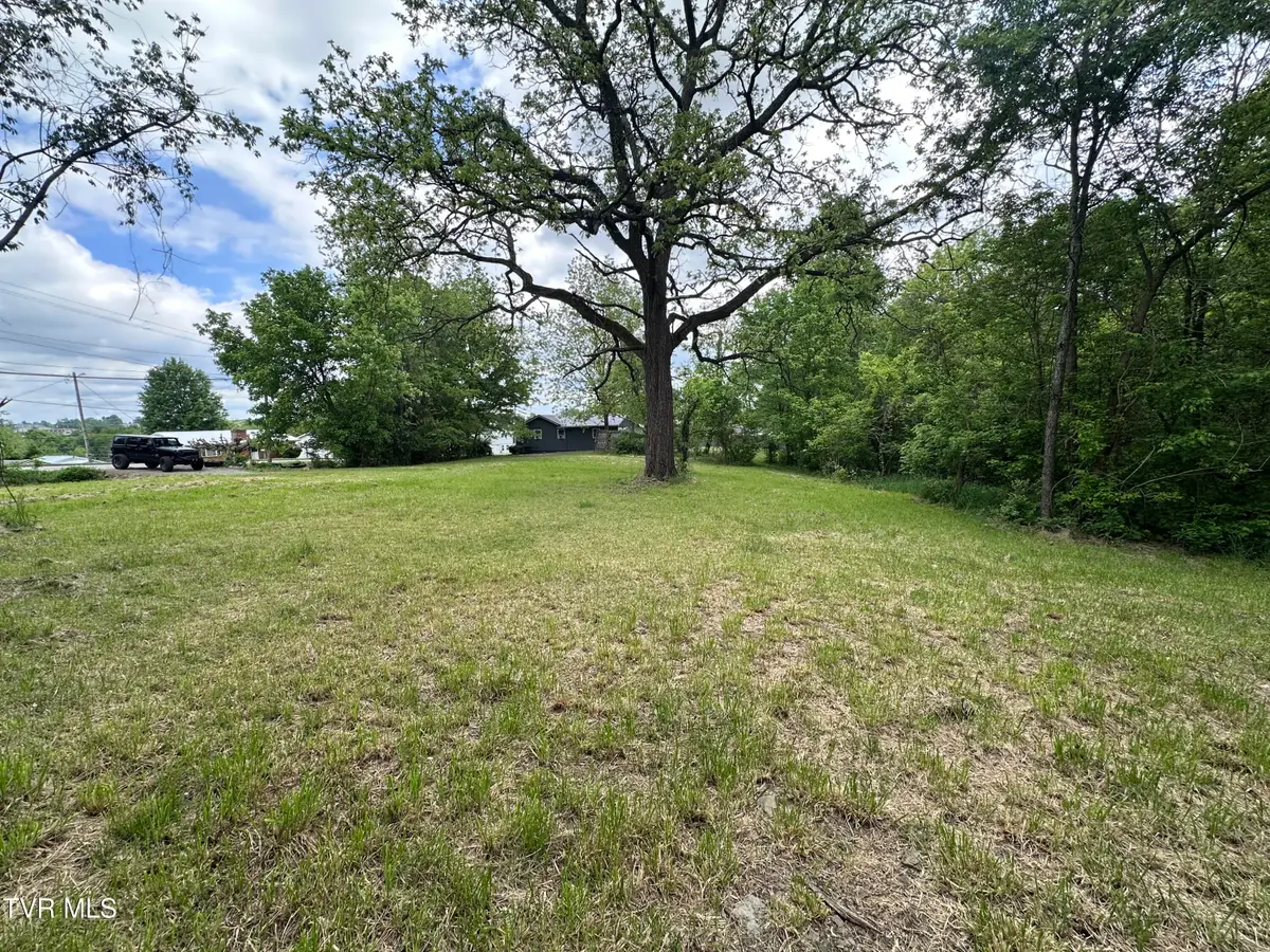 2735 West Walnut Street, Johnson City, TN 37604 - #1