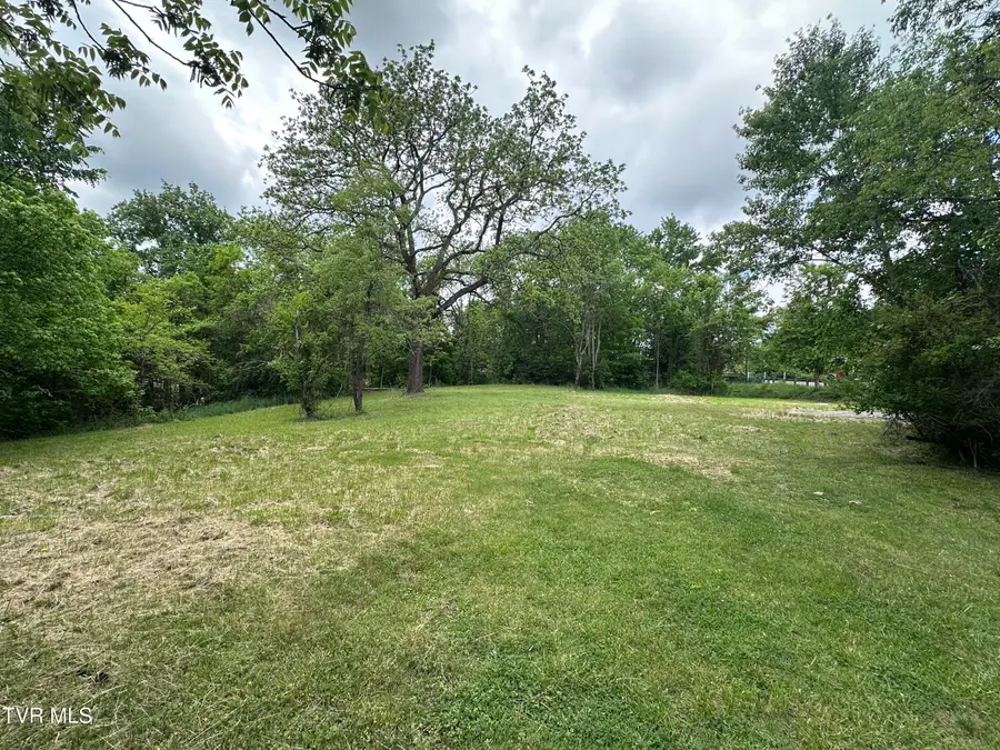 2735 West Walnut Street, Johnson City, TN 37604 - #3