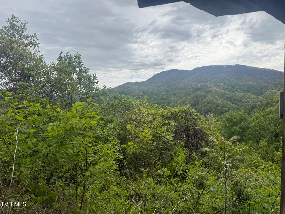 174 Doty Road, Roan Mountain, TN 37687 - #1