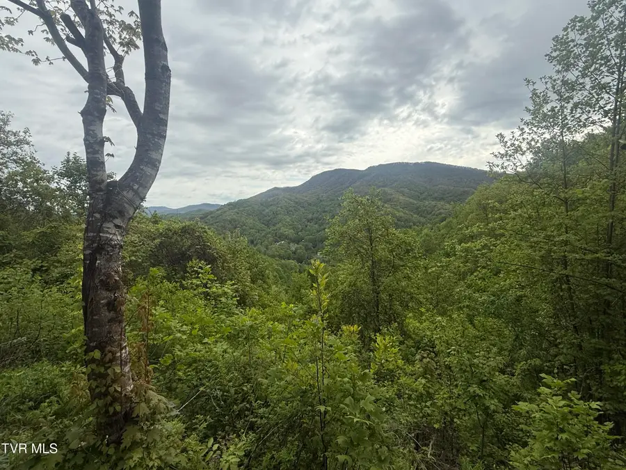 174 Doty Road, Roan Mountain, TN 37687 - #2
