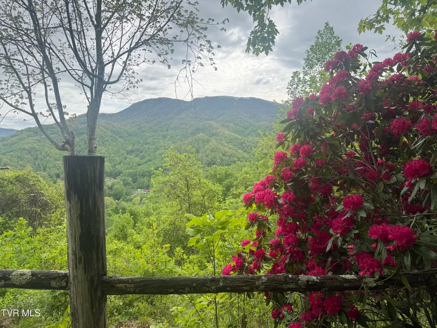 174 Doty Road, Roan Mountain, TN 37687 - #3