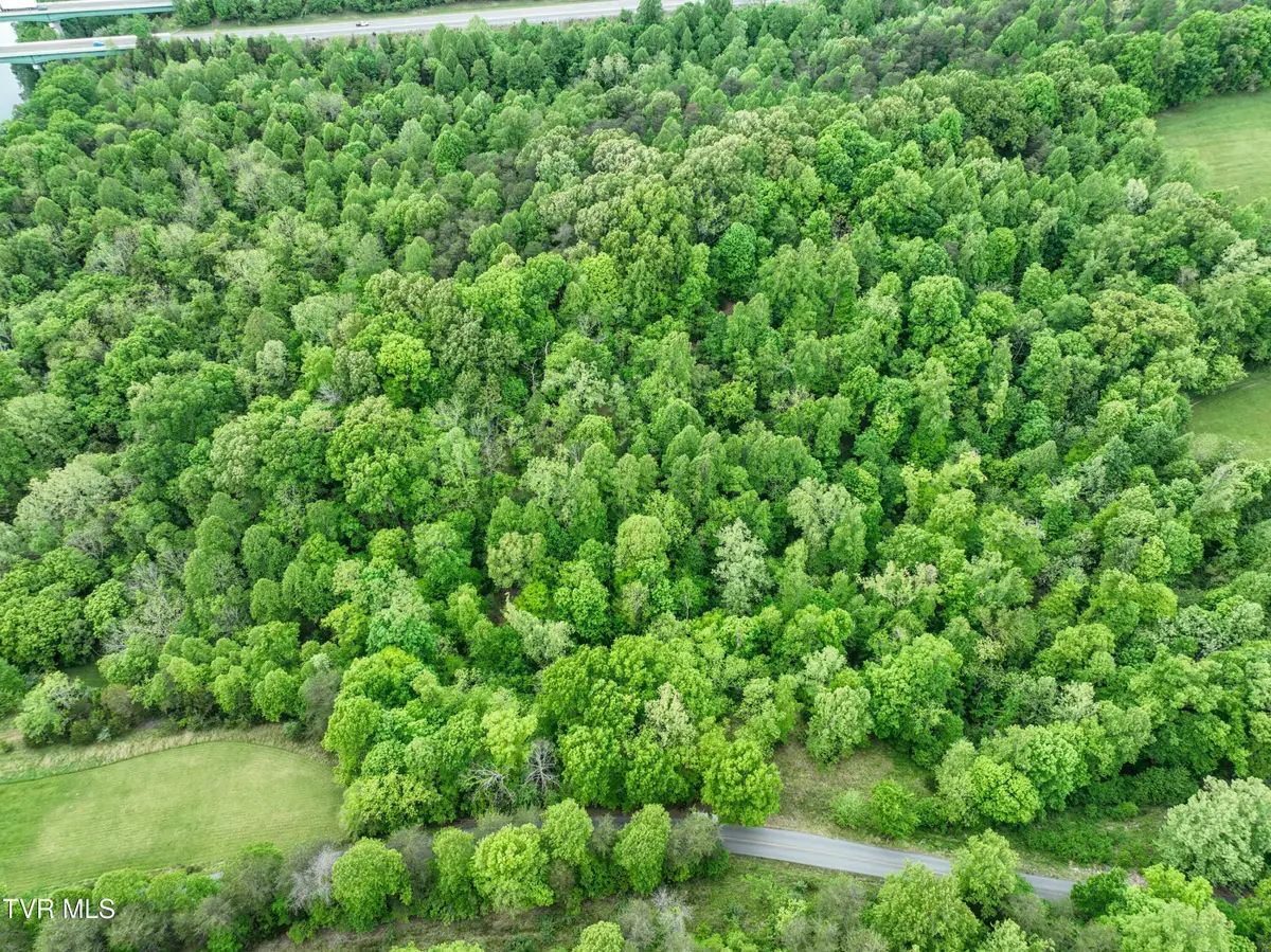 660 Gottland Shoals Road, Blountville, TN 37617 - #1