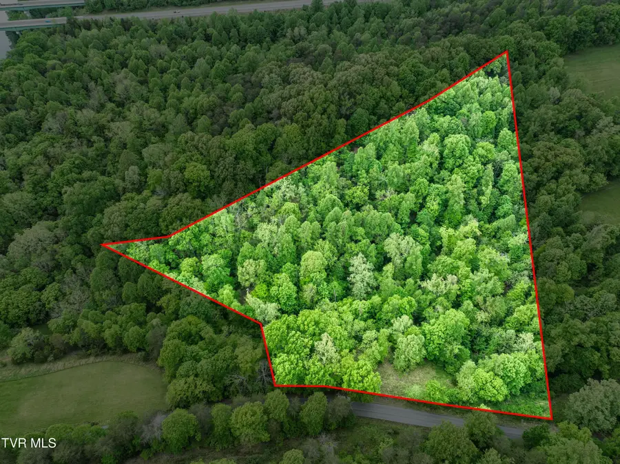 660 Gottland Shoals Road, Blountville, TN 37617 - #2