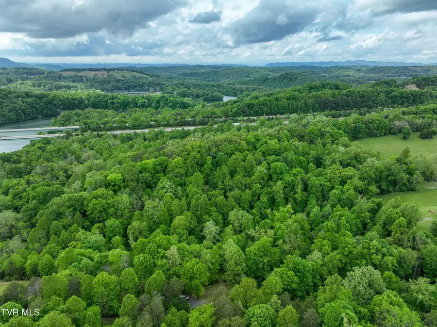 660 Gottland Shoals Road, Blountville, TN 37617 - #3