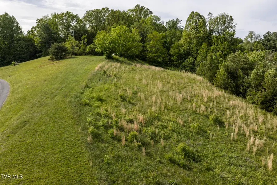 Tbd Old Lewis Road, Johnson City, TN 37601 - #2