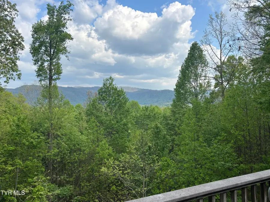 240 Misty Lane, Unicoi, TN 37692 - #2