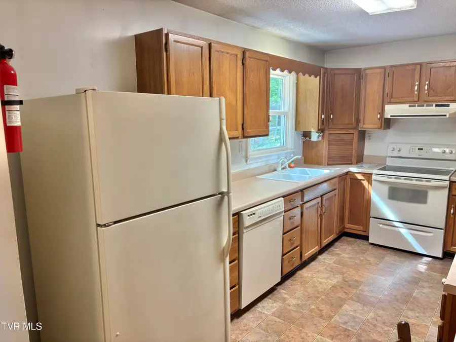 240 Misty Lane, Unicoi, TN 37692 - #3