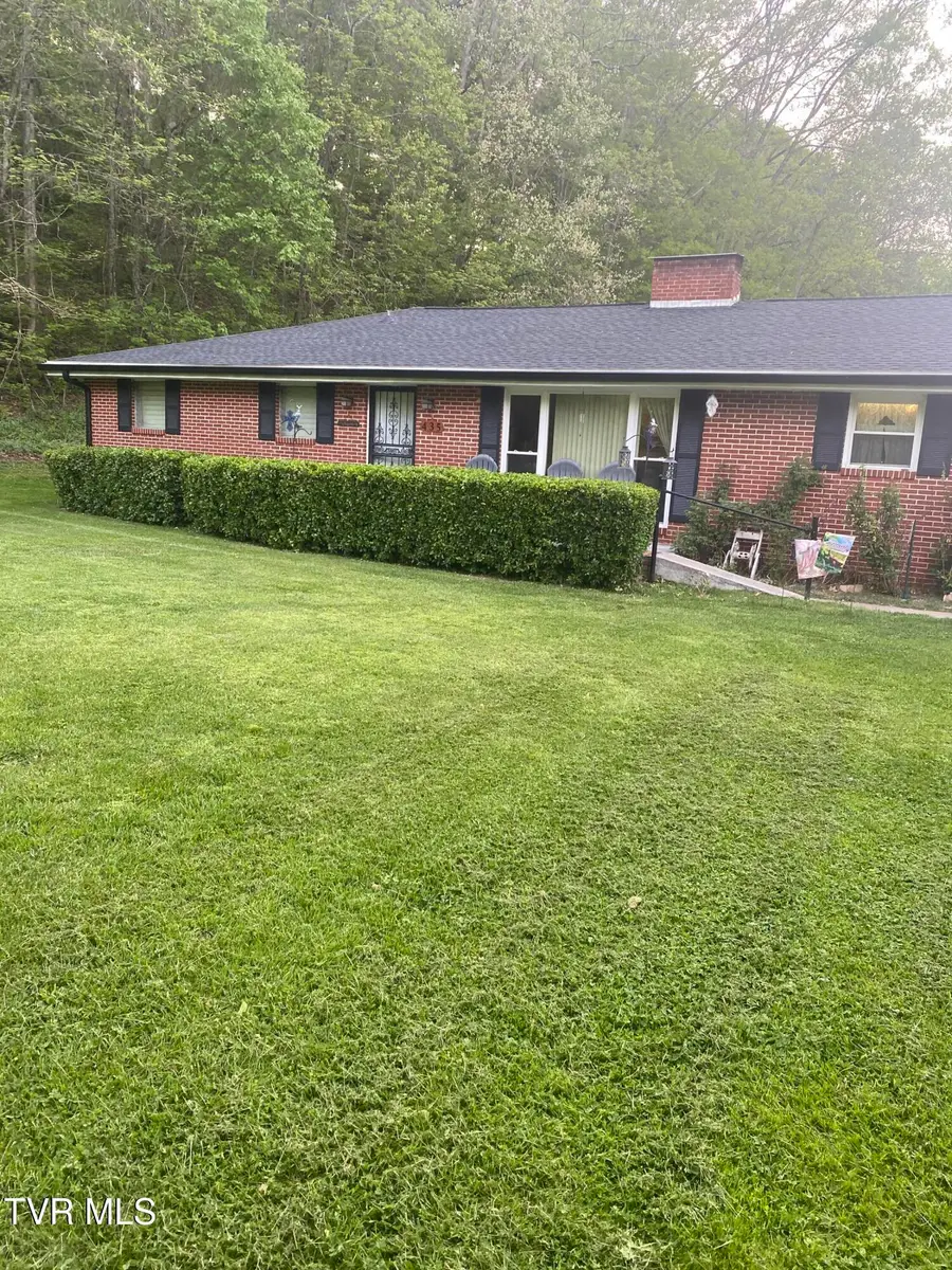 435 Horton Highway, Fall Branch, TN 37656 - #2