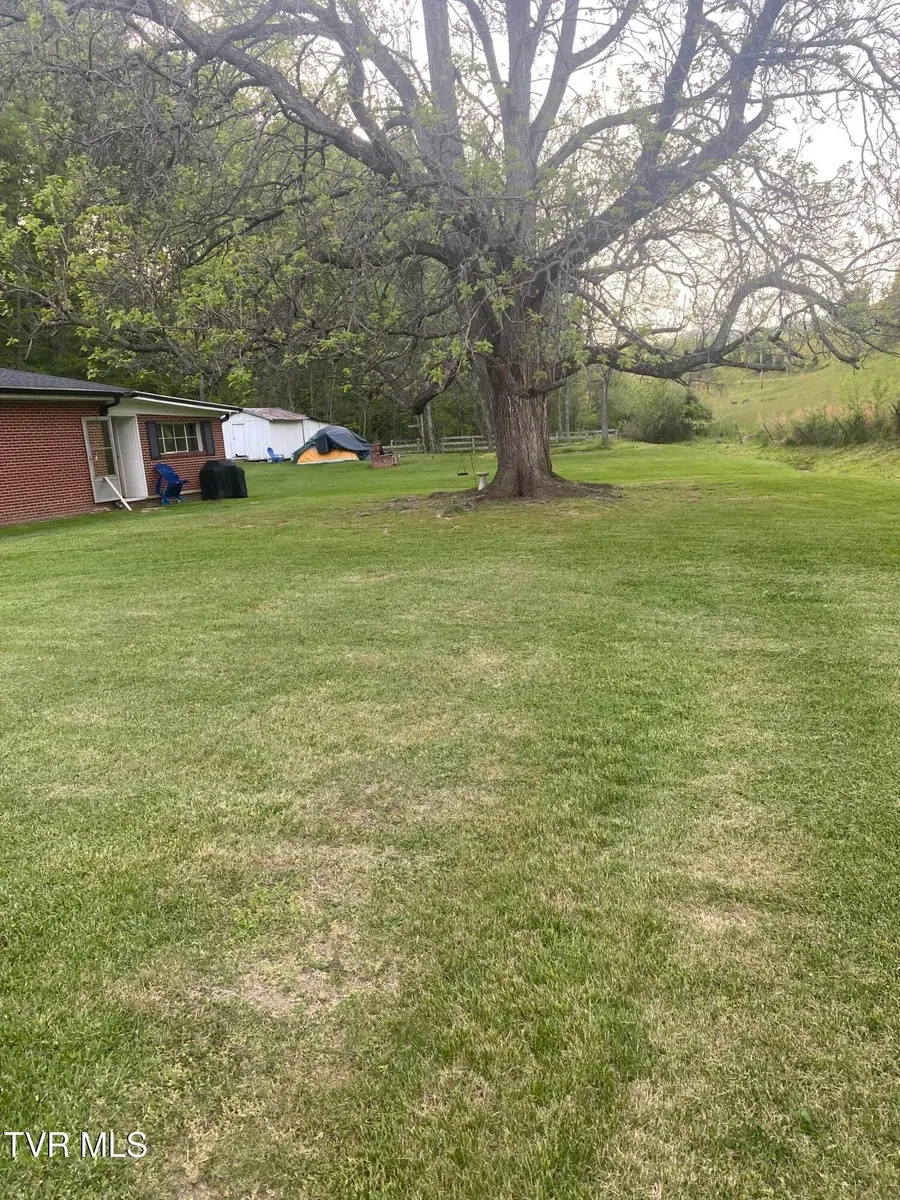 435 Horton Highway, Fall Branch, TN 37656 - #3
