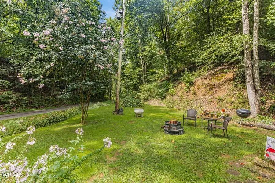 415 Stone Mtn Road, Bulls Gap, TN 37711 - #3