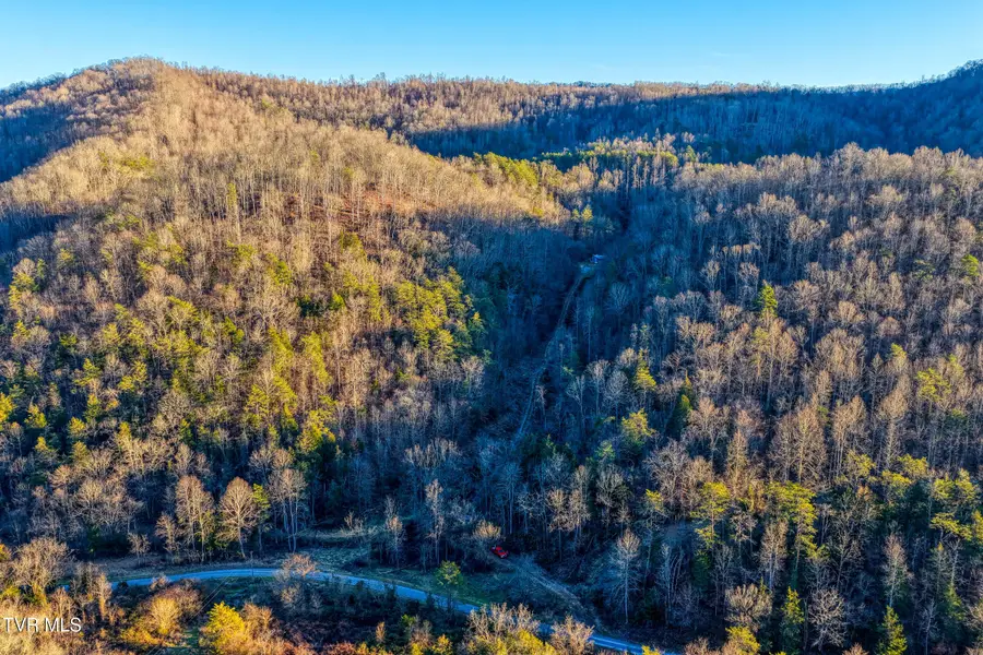 Tbd East Pumpkin Valley Road, Eidson, TN 37731 - #2