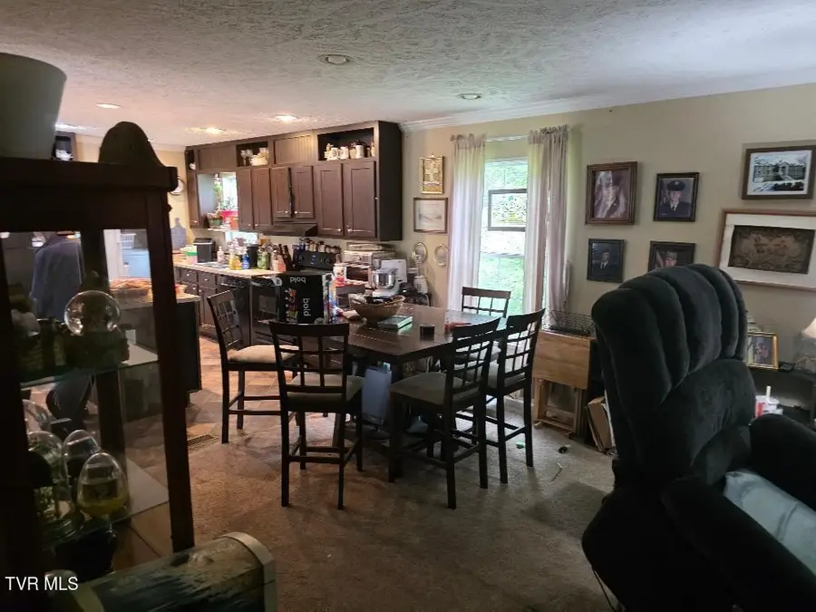 311 Lakeview Circle, Bluff City, TN 37618 - #3