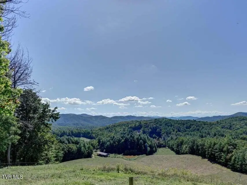 5200 Greene Mountain Road, Greeneville, TN 37743 - #3