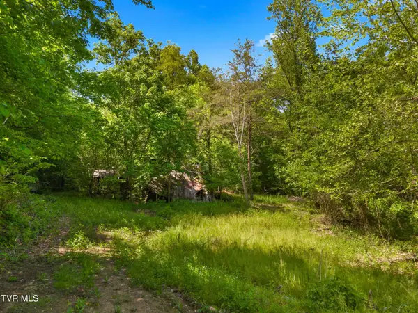 1243 Brandon Hollow Lane, Bulls Gap, TN 37711