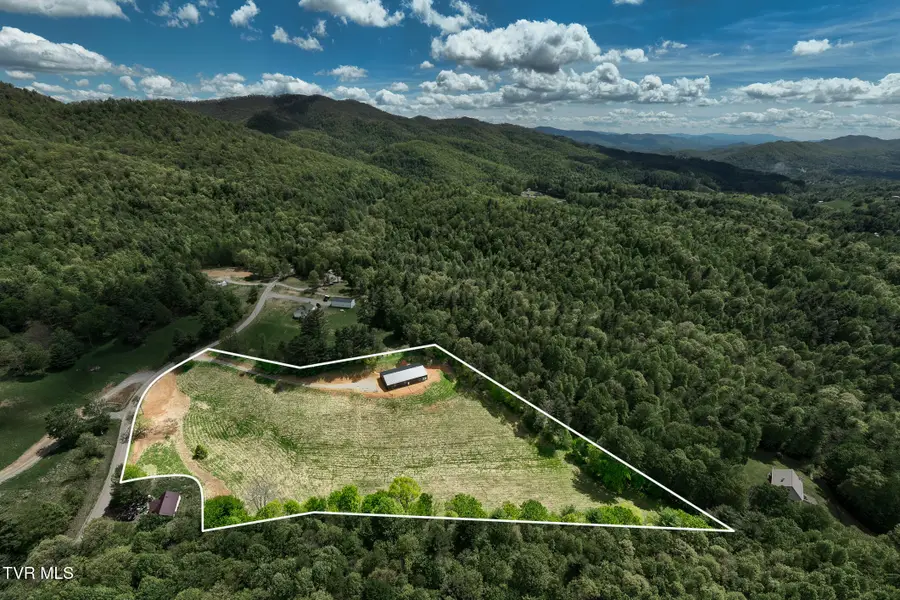 835 Red Brush Road, Mountain City, TN 37683 - #3