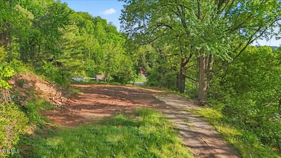 112 Grant Parlier Road, Elizabethton, TN 37643 - #2