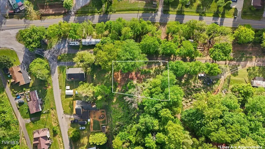 112 Grant Parlier Road, Elizabethton, TN 37643 - #3