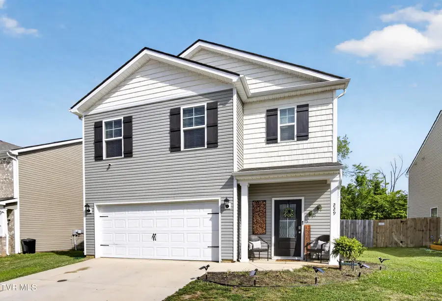 229 Crockett Drive, Church Hill, TN 37642 - #3