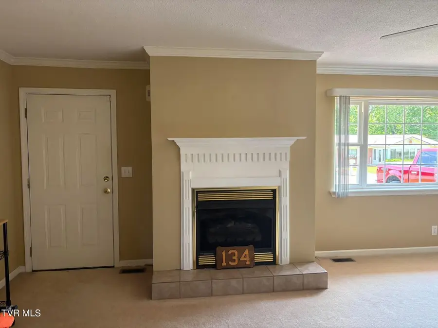 134 Briarwood Drive, Gray, TN 37615 - #3