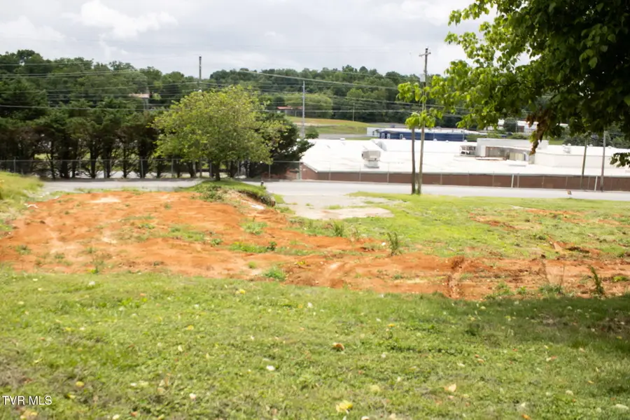 Tr 1 East Bernard Avenue, Greeneville, TN 37745 - #3