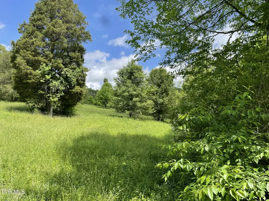 Tbd Anderson Bend Road, Russellville, TN 37860 - #2