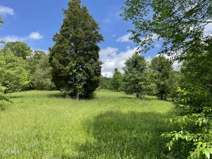 Tbd Anderson Bend Road, Russellville, TN 37860 - #3