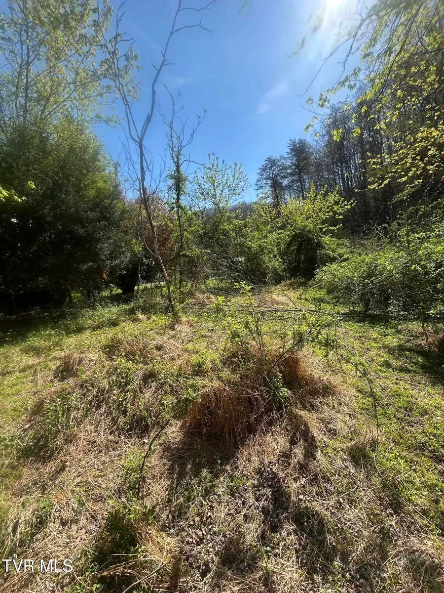 807 Cleghorn Valley Road, Marion, VA 24354 - #2