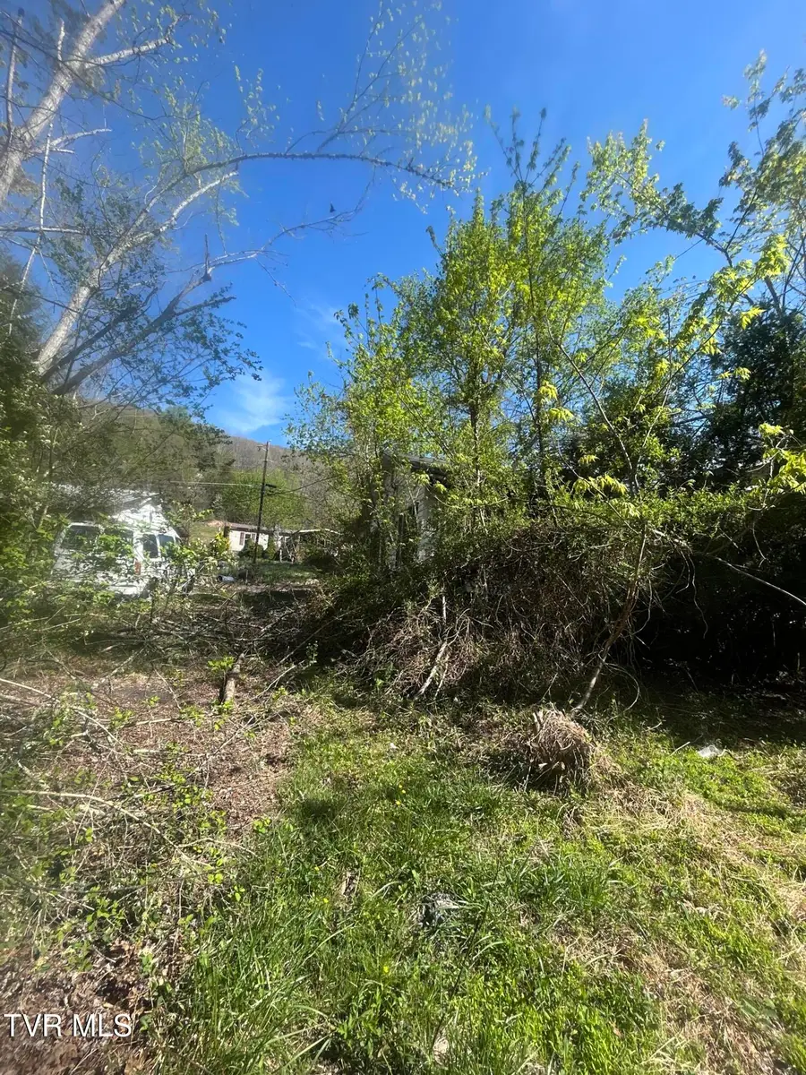 807 Cleghorn Valley Road, Marion, VA 24354 - #3