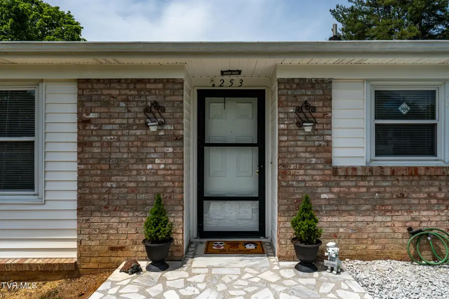 253 Fairford Lane, Blountville, TN 37617 - #3