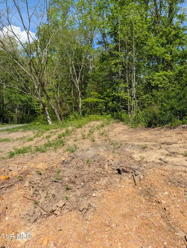 523 Sulphur Springs Road, Rogersville, TN 37857