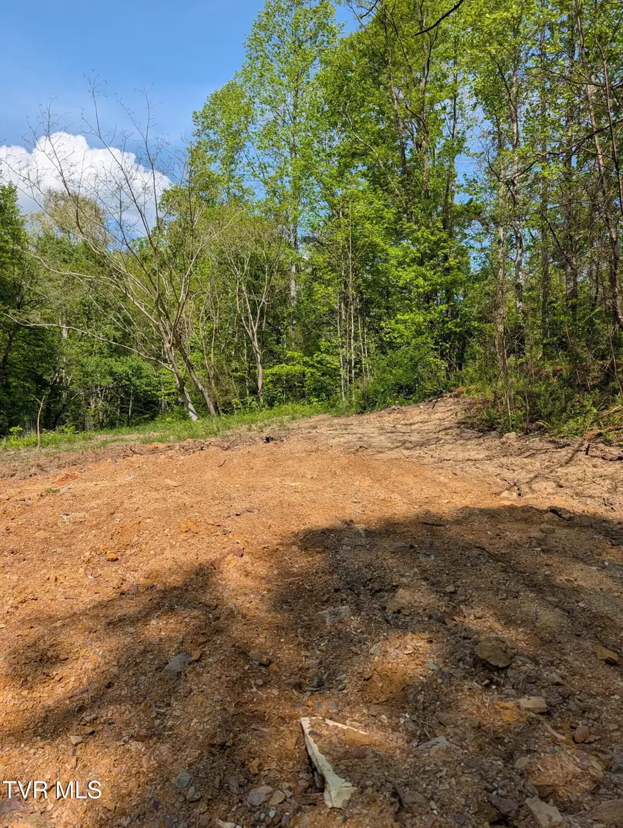 523 Sulphur Springs Road, Rogersville, TN 37857 - #2