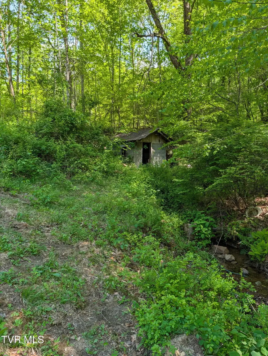 523 Sulphur Springs Road, Rogersville, TN 37857 - #3