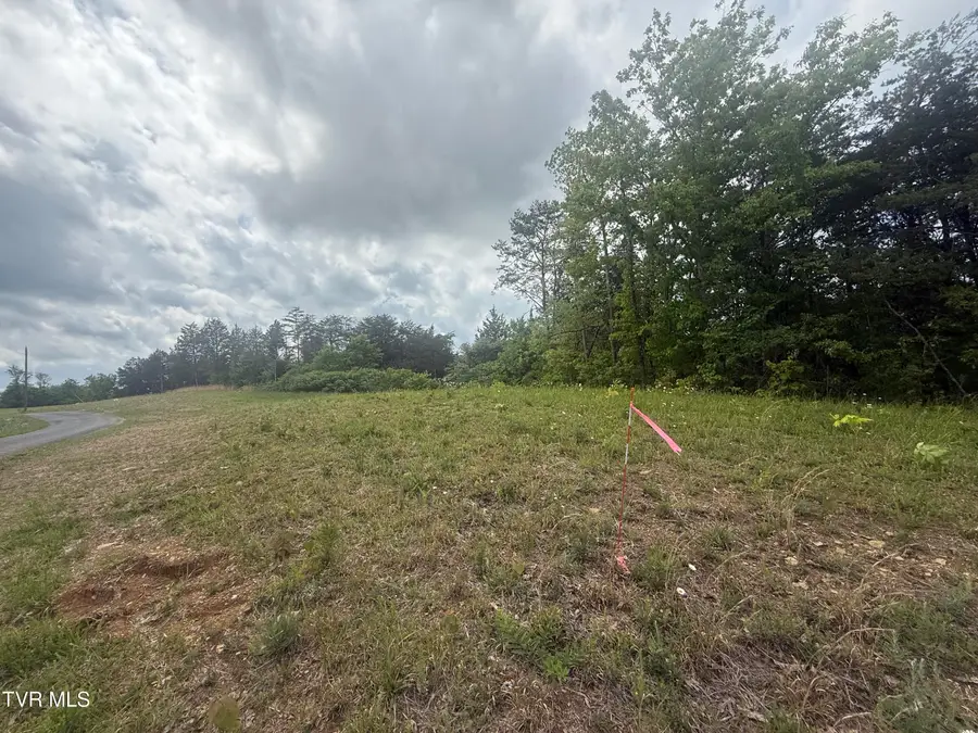 115 Walker Road, Bulls Gap, TN 37711 - #2
