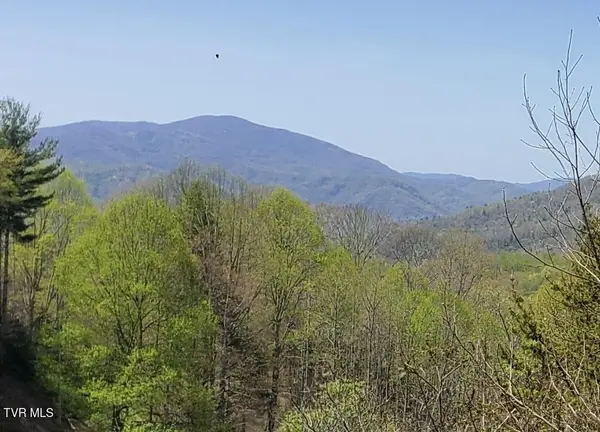 Lot 27 Blue Grass Road, Roan Mountain, TN 37687