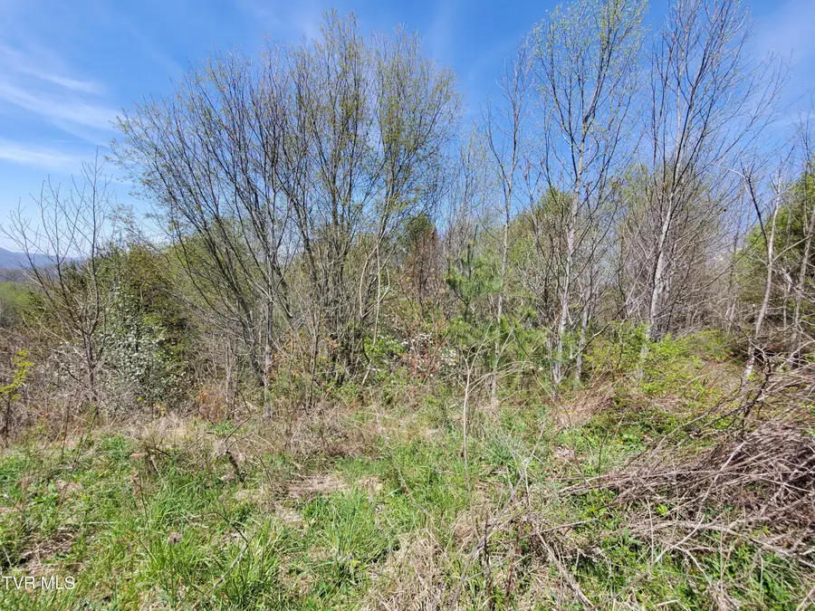 Lot 27 Blue Grass Road, Roan Mountain, TN 37687 - #2