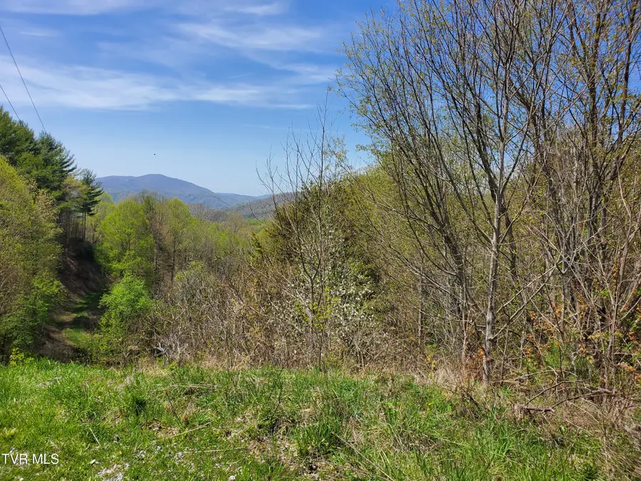 Lot 27 Blue Grass Road, Roan Mountain, TN 37687 - #3