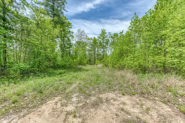 162 Murph Potter Lane, Roan Mountain, TN 37687