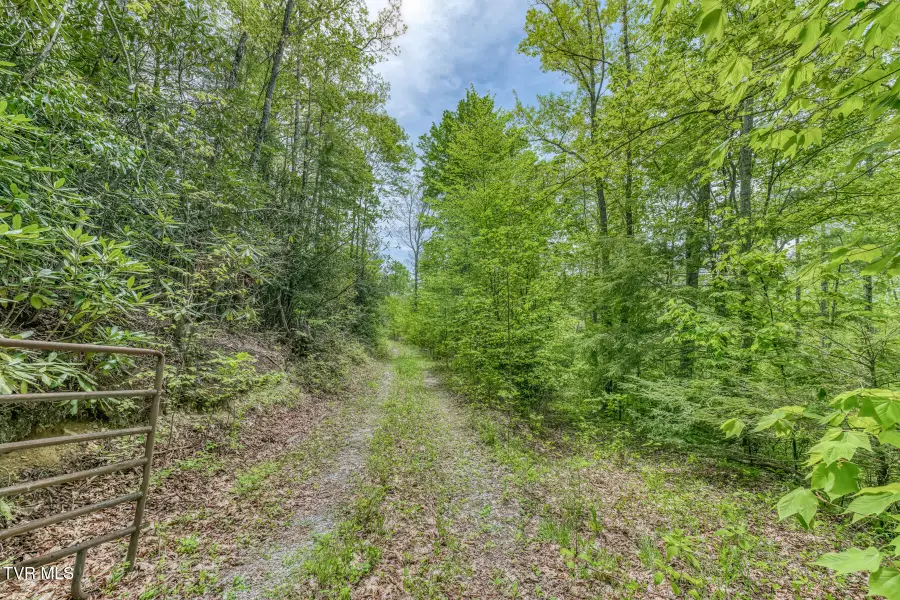 162 Murph Potter Lane, Roan Mountain, TN 37687 - #2