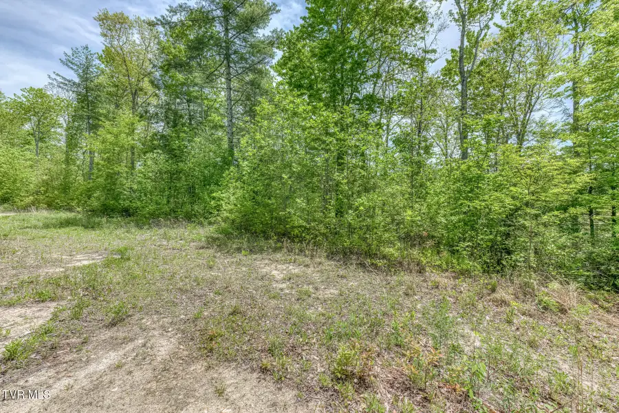 162 Murph Potter Lane, Roan Mountain, TN 37687 - #3