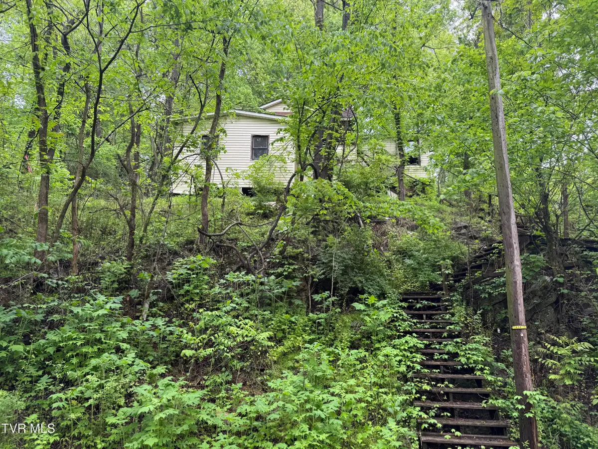 756 East Shawnee Avenue, Big Stone Gap, VA 24219 - #1