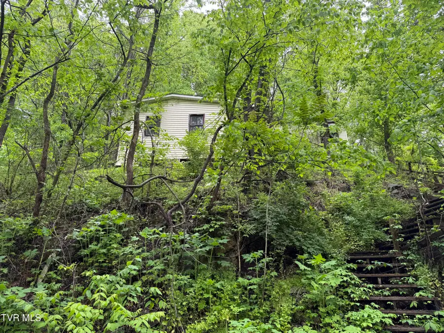 756 East Shawnee Avenue, Big Stone Gap, VA 24219 - #2