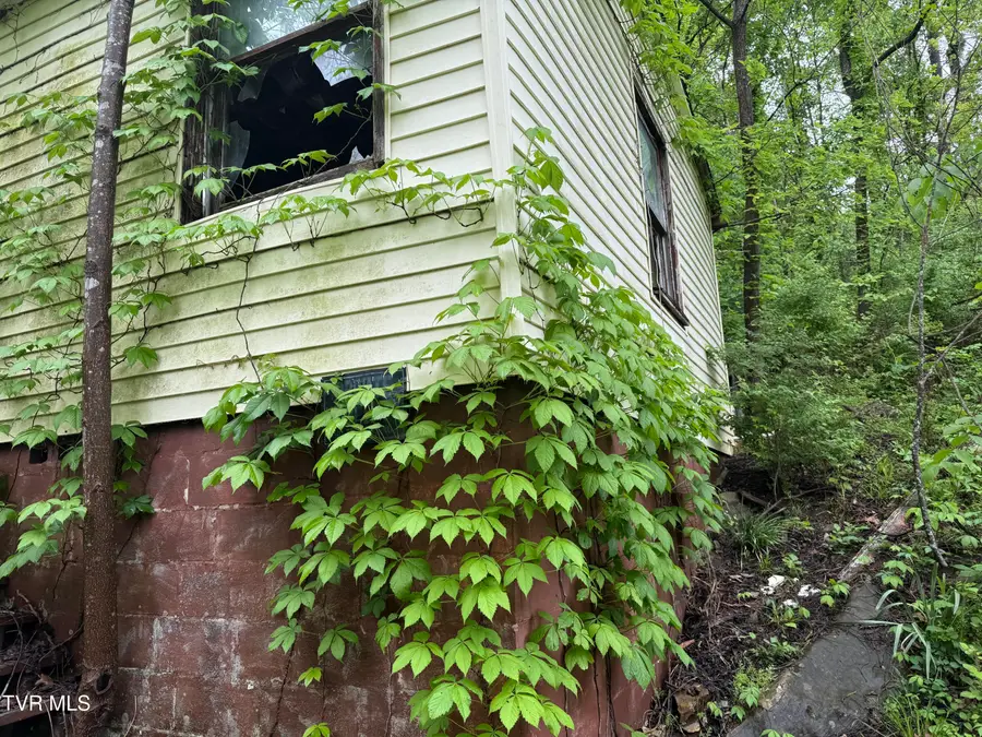 756 East Shawnee Avenue, Big Stone Gap, VA 24219 - #3