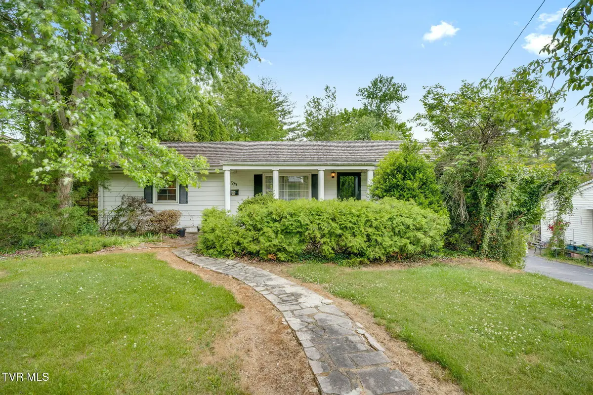 503 Locust Street, Jonesborough, TN 37659 - #1