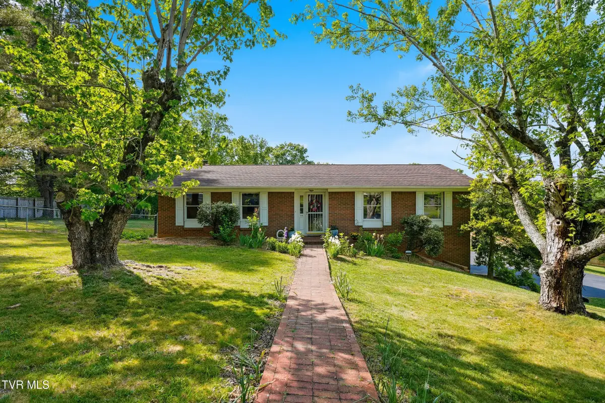 316 Clark Place, Blountville, TN 37617 - #1