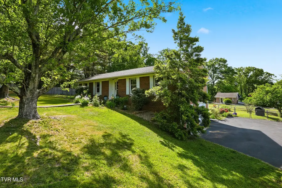 316 Clark Place, Blountville, TN 37617 - #3