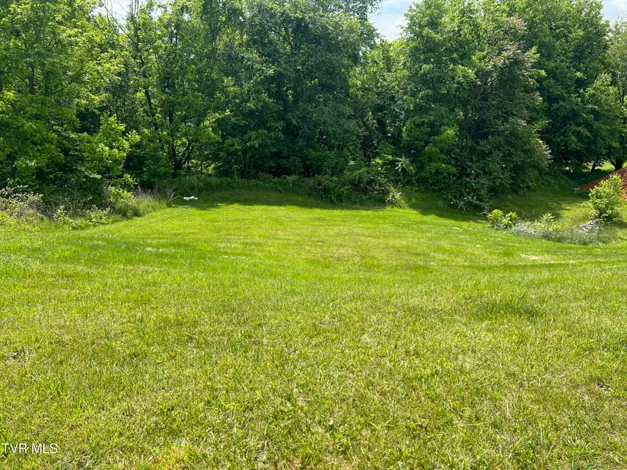 154 Laurel Canyon, Johnson City, TN 37615 - #3