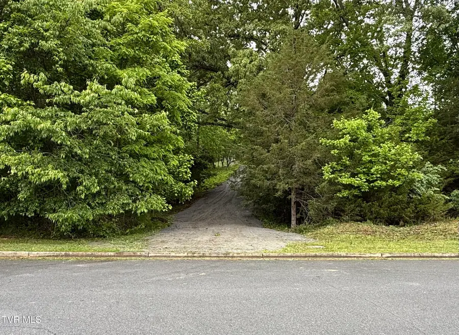 626 Harbor Point Drive, Johnson City, TN 37615 - #2