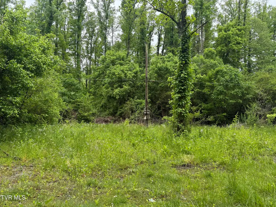 345 South Hamblen Street, Big Stone Gap, VA 24219 - #3