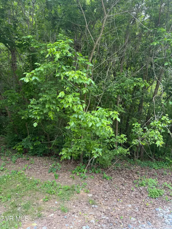 Tbd Neth Drive, Johnson City, TN 37601